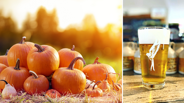 Real Pumpkin Painting Workshop - Stewards of the Land Brewery in Northford CT  | 10.20.22 | 7-9 PM