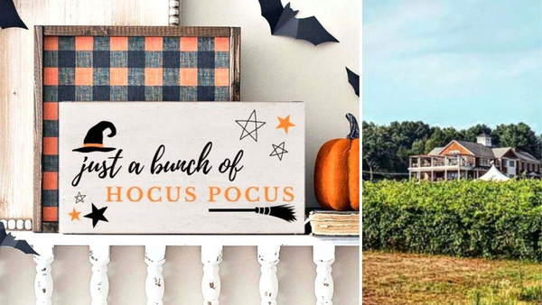 Hocus Pocus Paint & Sip Workshop at Brignole Vineyards in East Granby CT | 10.12.22 | 5 PM