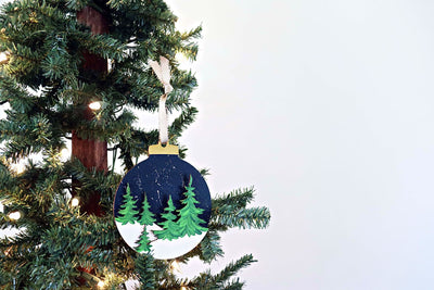 Home Paint Party for 3+ Guests | Set of 5 Winter Ornaments
